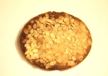 SFOGLIA   DI  CROCCANTE  CON MANDORLE  FETTATE  GOURMET