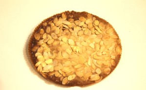SFOGLIA   DI  CROCCANTE  CON MANDORLE  FETTATE  GOURMET